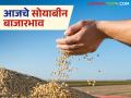 Soybean Bajar Bhav : सोयाबीन मार्केट अपडेट: कोणत्या बाजारात भाव वधारले? जाणून घ्या सविस्तर - Marathi News | latest news Soybean Market Update: In which market did the prices increase? Know in detail | Latest agriculture News at Lokmat.com