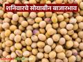 Soybean Bajar Bhav : सोयाबीन कुठे कोसळले, कुठे उसळले? जाणून घ्या सविस्तर - Marathi News | latest news Soybean Bajar Bhav : Where did soybeans fall, where did they rise? Know in detail | Latest agriculture News at Lokmat.com
