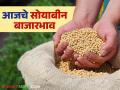 Soybean Bajar Bhav : अमरावती बाजारात सोयाबीनची आवक किती; कसा मिळाला दर ते वाचा सविस्तर - Marathi News | Soybean Bazaar Bhav: How much soybeans arrived in Amravati market; Read in detail how the price was obtained | Latest agriculture News at Lokmat.com