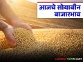 Soybean Bajar Bhav : पिवळ्या सोयाबीनची चलती; काही बाजारांत 'इतक्या' हजार रुपयांचा भाव वाचा सविस्तर - Marathi News | latest news Soybean Bajar Bhav : Yellow soybeans are on the rise; In some markets, the price is 'so much' thousand rupees Read in detail | Latest agriculture News at Lokmat.com