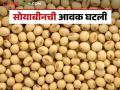 Soybean Bajar Bhav : लातूर बाजारात सोयाबीनची आवक मंदावली; कसा मिळतोय दर ते वाचा सविस्तर - Marathi News | Soybean Bajar Bhav : | Latest agriculture News at Lokmat.com