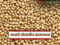 Soybean Bajar Bhav : सोयाबीन बाजारात मंदीचा सुर; जाणून घ्या बाजारभाव सविस्तर - Marathi News | latest news Soybean Bajar Bhav : Bearish tone in soybean market; Know the market price in detail | Latest agriculture News at Lokmat.com