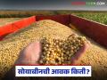 Soybean Bajar Bhav : सोयाबीनला पुन्हा तेजी? वाशिममध्ये दरांनी मोडला विक्रम वाचा सविस्तर - Marathi News | latest news Soybean Bajar Bhav: Soybean prices up again? Prices break record in Washim Read in detail | Latest agriculture News at Lokmat.com