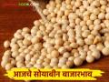Soyben Bajar Bhav : सोयाबीनची सर्वाधिक आवक लातुरच्या बाजारात; काय भाव मिळाला वाचा सविस्तर - Marathi News | Soyben Bajar Bhav : Highest arrival of soybeans in Latur market; Read the price in detail | Latest agriculture News at Lokmat.com