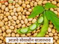 Soybean Bajar Bhav : सोयाबीनला कोणत्या बाजारात मिळतोय सर्वाधिक दर? वाचा सविस्तर - Marathi News | latest news Soybean Bajar Bhav: In which market is soybean getting the highest price? Read in detail | Latest agriculture News at Lokmat.com