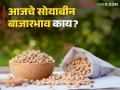 Soybean Bajar Bhav : सोयाबीनची आवक कोणत्या बाजारात सर्वाधिक ; काय मिळाला भाव ते वाचा सविस्तर - Marathi News | Soybean Bajar Bhav : | Latest agriculture News at Lokmat.com