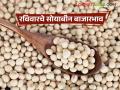 Soybean Bajar Bhav : सोयाबीन बाजारात आवक घटली; देवणीत मिळाला उच्चांक वाचा सविस्तर - Marathi News | latest news Soybean Bajar Bhav : Arrivals in the soybean market decreased; Devani got a high mark. Read in detail | Latest agriculture News at Lokmat.com