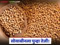Soybean Bajar Bhav : बाजारात सोयाबीनला पुन्हा तेजी; दरांनी ओलांडला 'इतक्या' हजारांचा टप्पा वाचा सविस्तर - Marathi News | latest news Soybean Bajar Bhav: Soybean prices rise again in the market; Price crosses the mark of 'so many' thousands Read in detail | Latest agriculture News at Lokmat.com