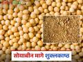 Soybean Market: सोयाबीन ढेपची मागणी कमी होण्याचे काय आहे कारण जाणून घ्या सविस्तर - Marathi News | Soybean Market: latest news Know in detail what is the reason for the decrease in demand for soybean meal | Latest agriculture News at Lokmat.com