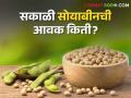 Soybean Bajarbhav : भोकरदन बाजारात सकाळी सोयाबीनला सर्वाधिक भाव, वाचा सविस्तर - Marathi News | latest News Highest price of soybeans in Bhokardan market in morning, read in detail | Latest agriculture News at Lokmat.com