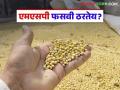 Soybean Kharedi : ५८ दिवसांत सोयाबीनची केवळ ५.७४ लाख टन खरेदी; उद्दिष्टपूर्ती होणार का? वाचा सविस्तर - Marathi News | | Latest agriculture News at Lokmat.com