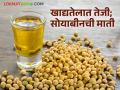 खाद्यतेलाचे दर वधारले सोयाबीन मात्र मंदीत; उत्पादक शेतकरी त्रस्त - Marathi News | Edible oil prices increase, but soybean prices are in a slump; Producer farmers are suffering | Latest agriculture News at Lokmat.com