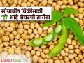 Soybean Market : सोयाबीन हमीभावात विकायचे? ३१ डिसेंबरपर्यंतच ऑनलाइन नोंदणी करा ! - Marathi News | Soybean Market : Want to sell soybeans at a guaranteed price? Register online by December 31st! | Latest agriculture News at Lokmat.com