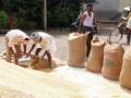 हमीभाव केंद्रांकडे सोयाबीन उत्पादक शेतकऱ्यांची पाठ! - Marathi News | Soybean grower farmer not keent to sell soybean at procurement centers | Latest akola News at Lokmat.com