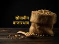 आज कुठल्या मार्केटमध्ये सोयाबीनने खाल्ला भाव, जाणून घ्या - Marathi News | Know today's soyabean market price in Latur, Akola, Nagpur | Latest agriculture News at Lokmat.com