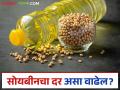सोयाबीनसाठी खाद्यतेल आयात शुल्कात वाढ? फायदा शेतकऱ्यांना की व्यापाऱ्यांना? वाचा सविस्तर - Marathi News | Edible oil import duty hike for soybeans? Benefit to farmers or traders? Read in detail | Latest agriculture News at Lokmat.com