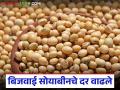 Bijwai Soybean Market Update : बिजवाई सोयाबीनचे दर वाढले, पण उत्पादन कमी वाचा सविस्तर - Marathi News | latest news Bijwai Soybean Market Update: Bijwai soybean prices increased, but production decreased Read in detail | Latest agriculture News at Lokmat.com