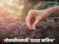 Soybean Seed : सोयाबीन बियाण्यांवर मोठा खर्च टळणार; कृषी विभागाचा खास सल्ला - Marathi News | latest news Soybean Seed: Big expenditure on soybean seeds will be avoided; Special advice from the Agriculture Department | Latest agriculture News at Lokmat.com