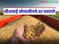Soybean Seed Market : बीजवाई सोयाबीनच्या दरात अवघ्या १८ दिवसांत हजारोंची घट वाचा सविस्तर - Marathi News | latest news Soybean Seed Market: Seed soybean prices drop by thousands in just 18 days Read in detail | Latest agriculture News at Lokmat.com