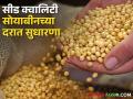 खरिपाच्या तोंडावर सीड क्वालिटी सोयाबीनच्या दरात सुधारणा; मिल क्वॉलिटी मात्र जैसे थे - Marathi News | Improvement in seed quality soybean prices in beginning of kharif; But the mill quality soybean rate was the same | Latest agriculture News at Lokmat.com