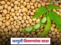 Soybean Seeds: स्वयंपूर्णतेकडे वाटचाल! वाशिमचे शेतकरी बनले बियाणे उत्पादक वाचा सविस्तर - Marathi News | latest news Soybean Seeds: Moving towards self-sufficiency! Washim farmers become seed producers Read in detail | Latest agriculture News at Lokmat.com