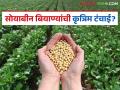 Biyancha Tutvada : सोयाबीन बियाण्यांचा कृत्रिम तुटवडा; खताची सक्ती? काय आहे प्रकार जाणून घ्या - Marathi News | latest news Biyancha Tutvada: Artificial shortage of soybean seeds; Compulsion to use fertilizer? Know what it is, its types | Latest agriculture News at Lokmat.com