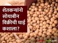 शेतकऱ्यांना आता टेंशन नाही; तारण योजनेत कर्जाची सुविधा उपलब्ध ! - Marathi News | Farmers Loan facility available in mortgage scheme | Latest agriculture News at Lokmat.com