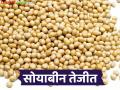 Soybean Market : सोयाबीन तेजीत; बीजवाईचे दर ७ हजार पार वाचा सविस्तर - Marathi News | latest news Soybean Market: Soybean is on the rise; seeds prices are above 7 thousand. Read in detail | Latest agriculture News at Lokmat.com