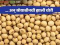 Soybean Theft : देऊळगाव राजा येथून चक्क २२ क्विंटल सोयाबीनची झाली चोरी - Marathi News | Soybean Theft: About 22 quintals of soybeans were stolen from Deulgaon Raja | Latest agriculture News at Lokmat.com