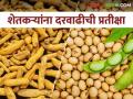 गेली ६ महिने वाट पाहूनही सोयाबीनची दरकोंडी कायम दुसरीकडे हळदीच्या दरात ही घसरण सुरूच - Marathi News | Despite waiting for the last 6 months, the price of soybeans is still in pressure, on the other hand, the price of turmeric continues to fall | Latest agriculture News at Lokmat.com