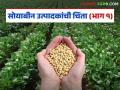Soybean Crop Loss : अतिवृष्टीचा सोयाबीनवर घाला; हजारो एकर पीक कुजले वाचा सविस्तर - Marathi News | latest news Soybean Crop Loss: Heavy rains hit soybeans; Thousands of acres of crops rotted Read in detail | Latest agriculture News at Lokmat.com