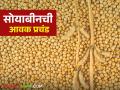 Soybean Market : आठवडाभरात सव्वा लाख क्विंटलहून अधिक सोयाबीनची आवक; असे मिळत आहेत दर ते वाचा सविस्तर - Marathi News | Soybean Market : Inflow of more than half a lakh quintals of soybeans in a week | Latest agriculture News at Lokmat.com