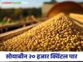 Soybean Bajar Bhav : बाजारात सोयाबीनची आवक वाढतेय; दर मात्र 'जैसे थे' वाचा सविस्तर - Marathi News | Soybean Bajar Bhav : Arrivals of soybeans is increasing in the market | Latest agriculture News at Lokmat.com