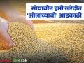 Soybean Kharedi : हमी खरेदी केंद्रांवर माल नाही! ओलावा ठरतोय सर्वात मोठा अडथळा - Marathi News | latest news Soybean Kharedi: No goods at guaranteed purchase centers! Moisture is becoming the biggest obstacle | Latest agriculture News at Lokmat.com
