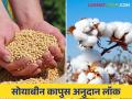 Soybean Kapus Anudan : सोयाबीन, कापूस उत्पादकांचे अनुदान लॉक; सानुग्रह मदत मिळेना  - Marathi News | Soybean Kapus Anudan : Subsidy lock for soybean, cotton growers; Don't get help from government  | Latest agriculture News at Lokmat.com