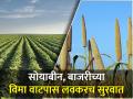 सोलापूर जिल्ह्यातील शेतकऱ्यांना १० नोव्हेंबरपासून विमा रक्कम वाटप - Marathi News | Insurance amount distributed to farmers of Solapur district from November 10 | Latest agriculture News at Lokmat.com