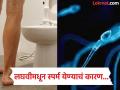 लघवीमधून स्पर्म लीक होण्याची कारणं काय असतात? पाहा ही समस्या गंभीर आहे की नॉर्मल... - Marathi News | Why do some people faces sperm leaking problem in urine know what doctor says | Latest health News at Lokmat.com