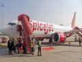 Spicejet ला हायकोर्टाचा झटका; कलानिती मारन यांना 270 कोटी रुपये देण्याचे आदेश - Marathi News | High Court hits Spicejet; Order to pay Rs 270 crore to Kalanithi Maran | Latest business News at Lokmat.com