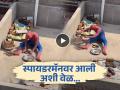 चुलीवर चपात्या करताना दिसला 'स्पायडरमॅन', लोक म्हणाले - जगाला वाचवून पोट नाही भरत! - Marathi News | Funny Video : Spiderman making roti viral funny video | Latest social-viral News at Lokmat.com