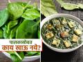 पालक पनीर चवीला छान पण तब्येतीसाठी मात्र घातक, पावसाळ्यात तर हमखास बिघडते पोट कारण.. - Marathi News | These food should not eat with spinach know the reason | Latest sakhi News at Lokmat.com