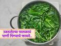 पालक उकडल्यानंतर त्यातील पाणी चक्क फेकून देता? फायदे वाचा, चुकून पुन्हा असं करणार नाही.. - Marathi News | Reasons You Should drink Spinach Boiled water daily | Latest sakhi Photos at Lokmat.com