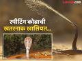 पिचकारी मारल्यासारखा १० फूट दूर विष फेकतो हा साप, शिकारीला काही मिनिटांमध्ये करतो आंधळं - Marathi News | Ashe spitting cobra throws venom like pichkari up to 10 feet | Latest jarahatke News at Lokmat.com