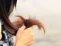 Split ends hair: केस कापणे हाच यावर एकमेव पर्याय नाही, हे घ्या सोपे उपाय - Marathi News | Beauty : Causes and Home remedies for Split ends hair | Latest sakhi News at Lokmat.com