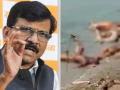 Corona virus : 'अयोध्येपासून वाराणसीपर्यंत, मक्केपासून मदिनेपर्यंत नुसता हाहाकार' - Marathi News | Corona virus : From Ayodhya to Varanasi, from Mecca to Madinah, sanjay raut on modi sarkar about corona in uttar pradesh | Latest national News at Lokmat.com