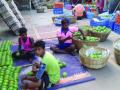 हापूस आंब्याच्या उत्पादनात घट - Marathi News | Decrease in the production of apricot mangoes | Latest raigad News at Lokmat.com