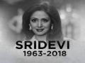 Sridevi Death Anniversary: पाहा, श्रीदेवींचे काही दुर्मिळ फोटो!! - Marathi News | sridevi death anniversary with unseen and rare photos | Latest filmy News at Lokmat.com