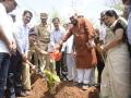 वृक्षलागवडीचे राज्य शासन करणार ‘आॅडीट’ - Marathi News |  State government will 'audit' the plantation | Latest jalgaon News at Lokmat.com