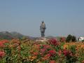 ... म्हणून गुजरातमधील 'व्हॅली ऑफ फ्लॉवर' आहे खास - Marathi News | .... Gujarat's Valley of Flowers is specialvalley of flowers near sardar patel statue of unity | Latest national Photos at Lokmat.com