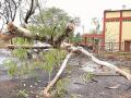 औरंगाबादला वादळी वाऱ्याचा तडाखा; भिंत पडून दोन ठार  - Marathi News | Aurangabad hit by storm wind; Two dead in a wall collapsed | Latest chhatrapati-sambhajinagar News at Lokmat.com