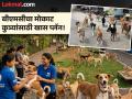 मुंबईतील रस्त्यांवरून मोकाट कुत्रे होणार गायब, BMC पाच एकर जागेवर उभारणार शेल्टर होम - Marathi News | Stray dogs will disappear from the streets of Mumbai, BMC will build a shelter home on five acres of land | Latest mumbai News at Lokmat.com